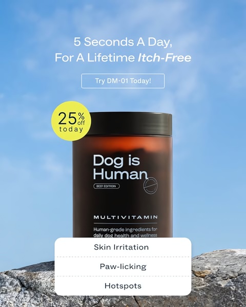A vertical-format ad creative featuring a dog multivitamin product, highlighting core pet health benefits like skin and paw relief with a clear 25% off offer.